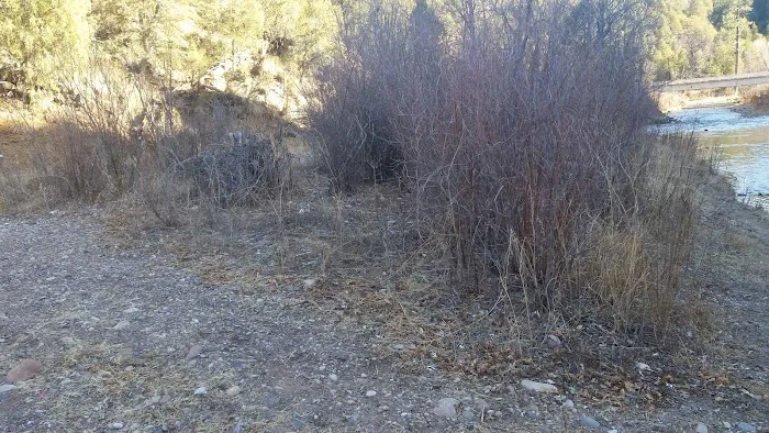 Diamond Creek Junction Campground 3