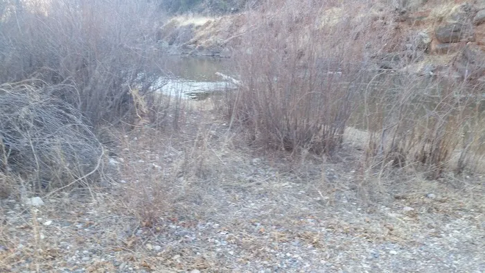 Diamond Creek Junction Campground 4