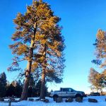 Horseshoe Cienega Lake Campground
