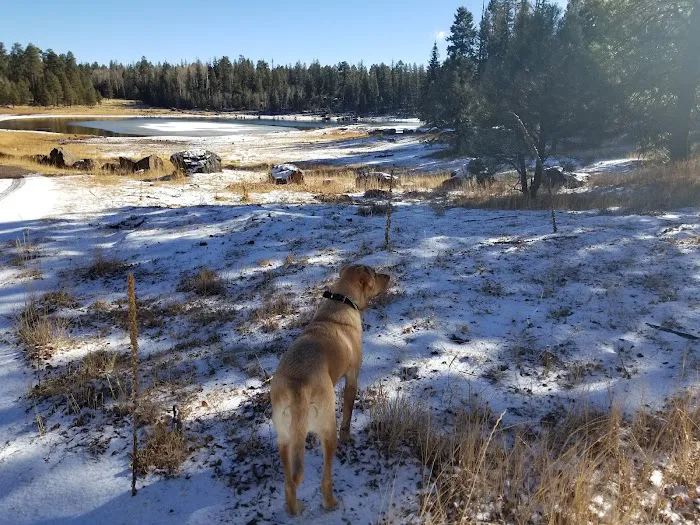 A One Lake Campground 1