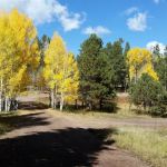 A One Lake Campground