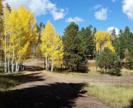 A One Lake Campground