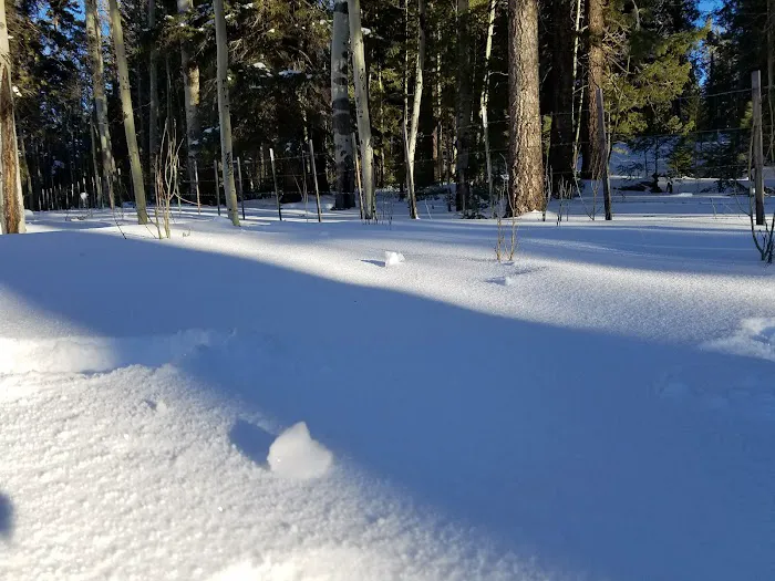 A One Lake Campground 5
