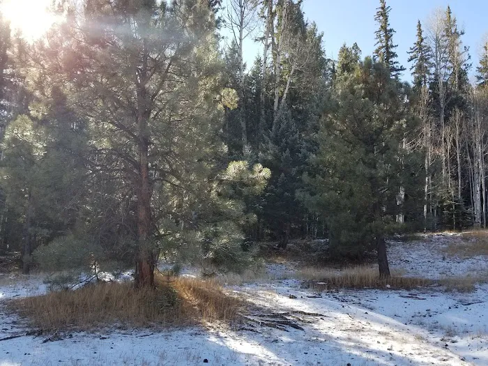 A One Lake Campground 7