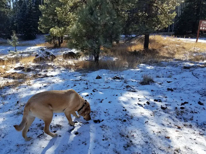A One Lake Campground 9