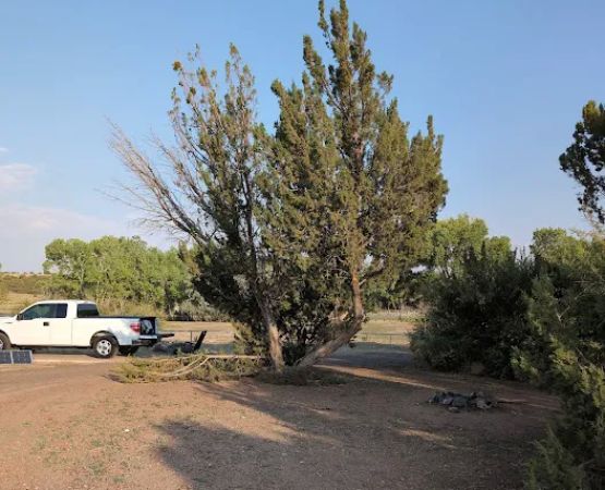 Concho Lake Campground