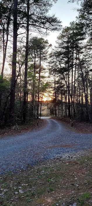 West Morris Mountain Campground 4