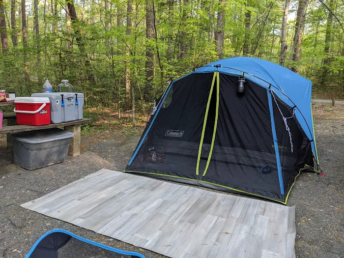 West Morris Mountain Campground 7