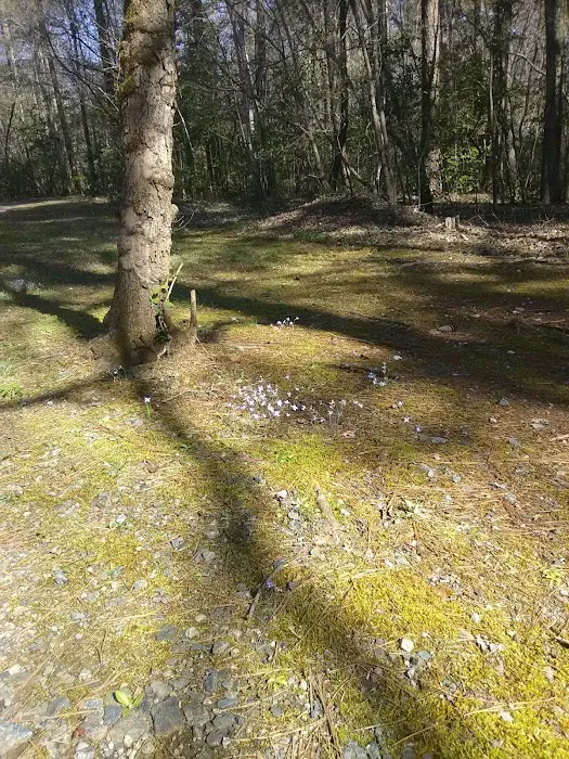 West Morris Mountain Campground 6
