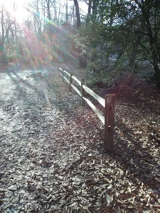 East Morris Mountain Campground 0