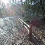 East Morris Mountain Campground