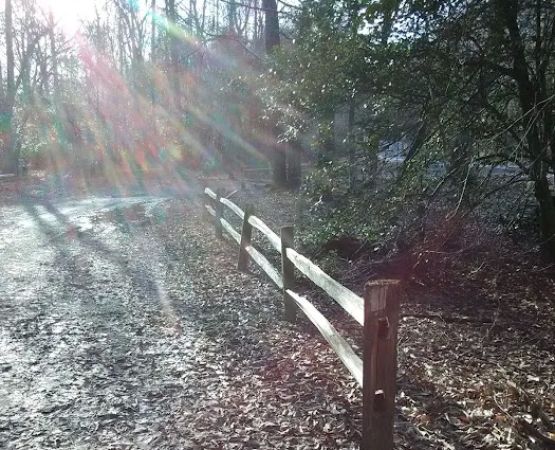 East Morris Mountain Campground