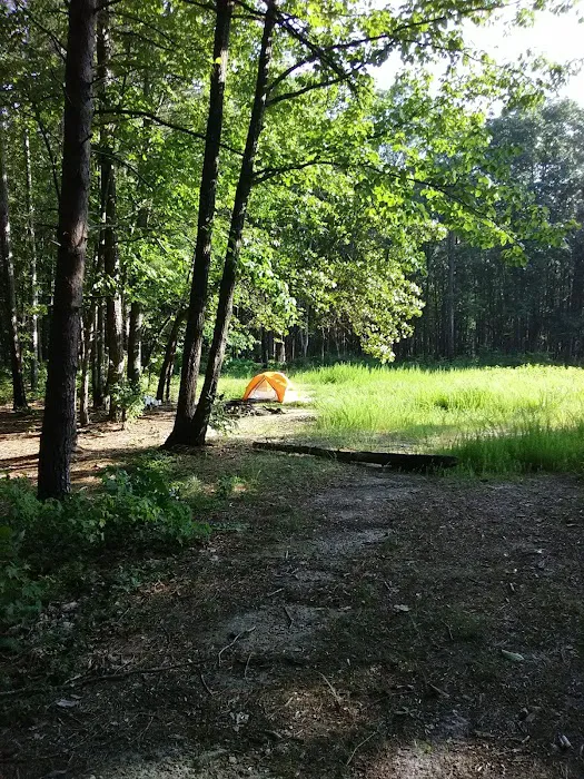 East Morris Mountain Campground 4