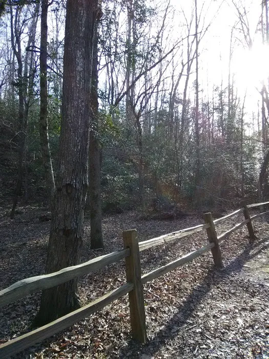 East Morris Mountain Campground 7