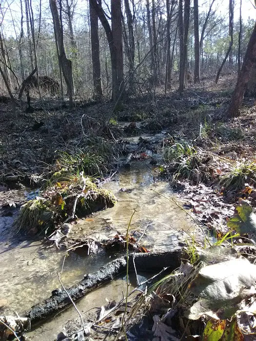 East Morris Mountain Campground 6