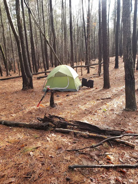 Yates Place Campground 1