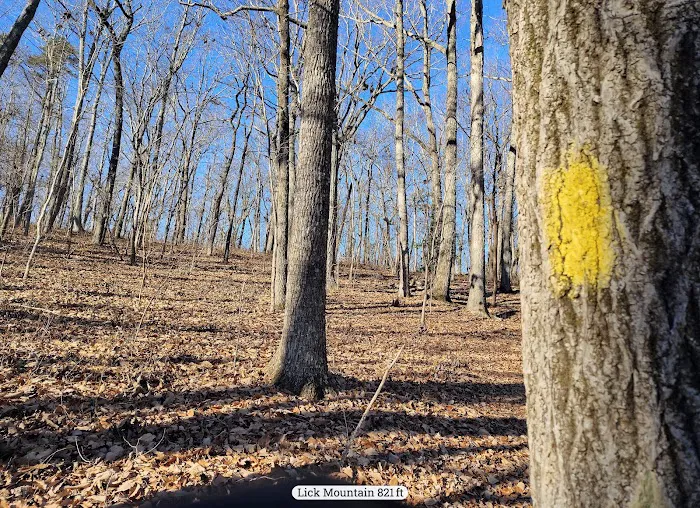 Yates Place Campground 4