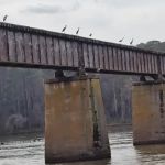 Lake Tillery Residential Campground