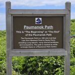 Paumanok Path Campsite
