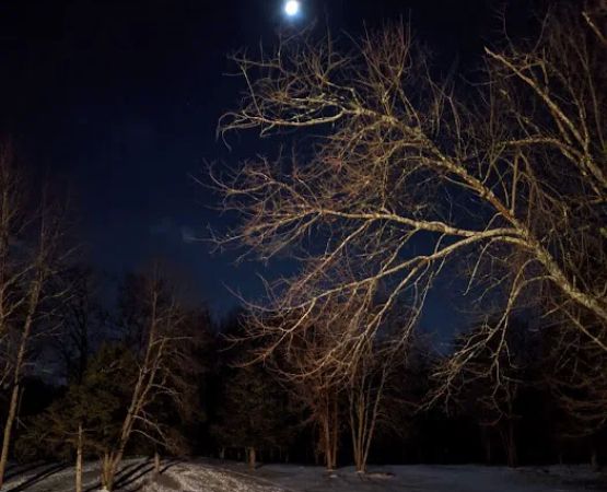 Hoyt Scout Reservation, Scouting America