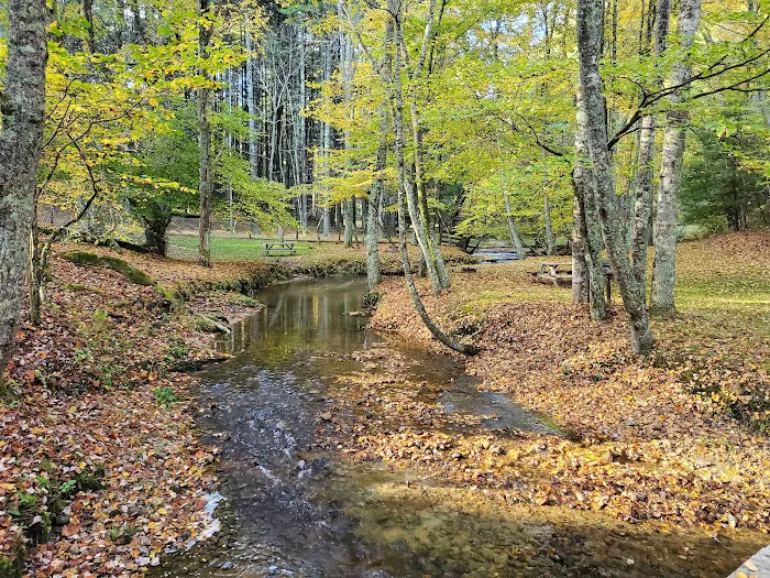 A & C Campground 5