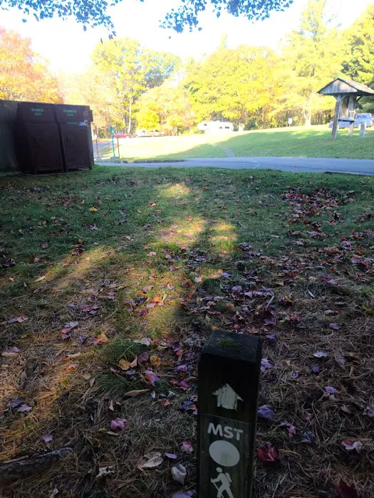 Doughton Park Campground 7