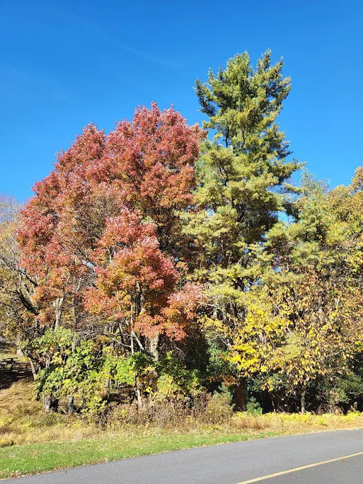 Doughton Park Campground 6