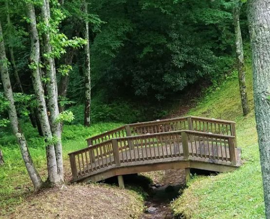 Mountain Side Campground & Cabins