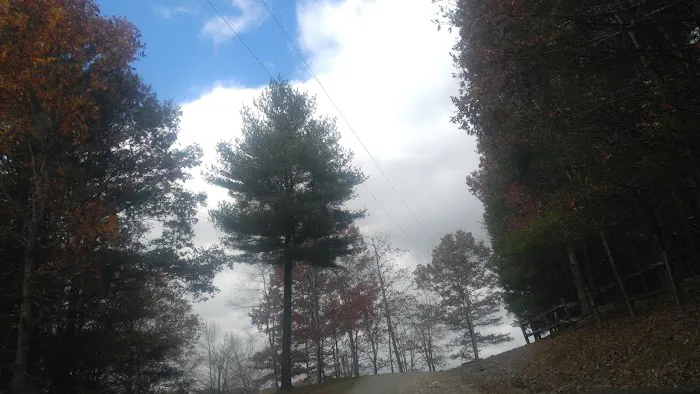 Mountain Side Campground & Cabins 5