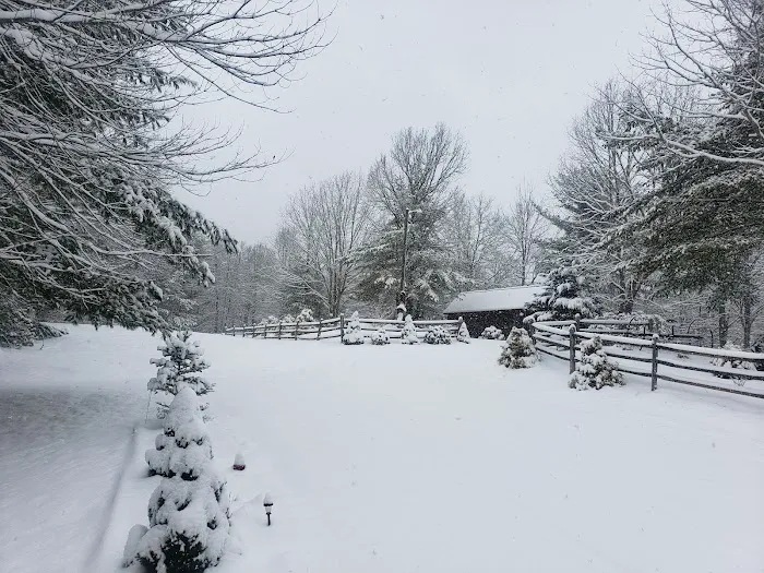 Mountain Side Campground & Cabins 7