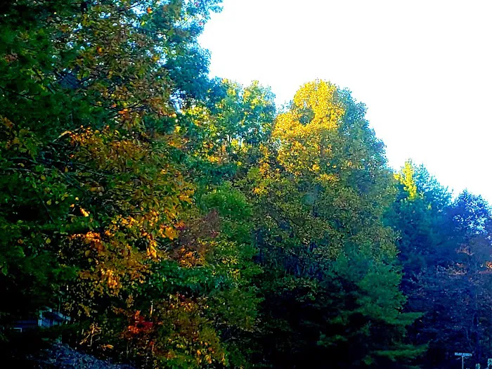 Mountain Side Campground & Cabins 9