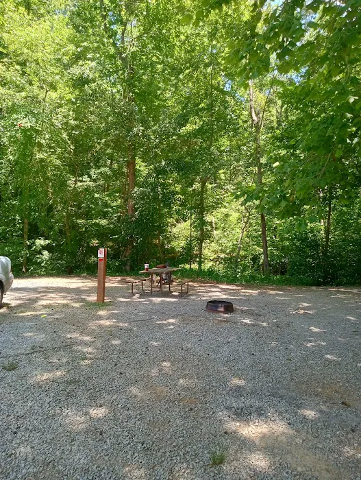 Paradise Lake and Campground 3