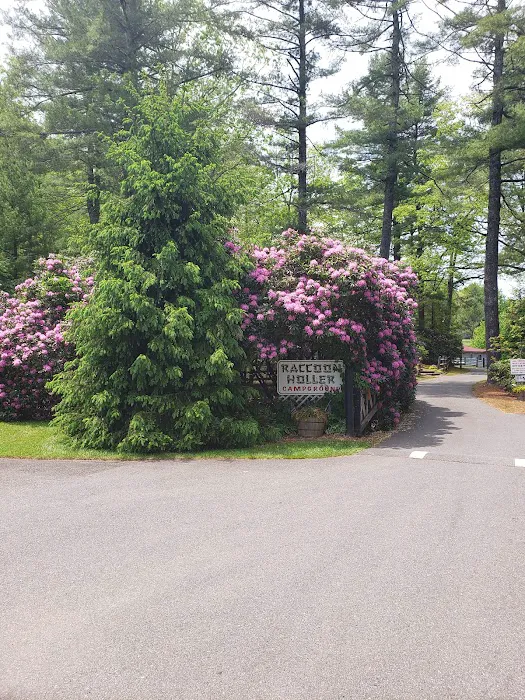 Raccoon Holler Campground 4