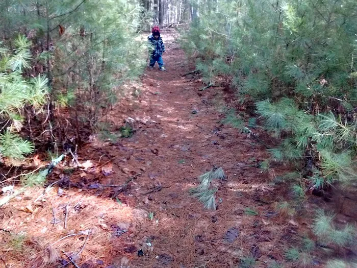 Raccoon Holler Campground 8