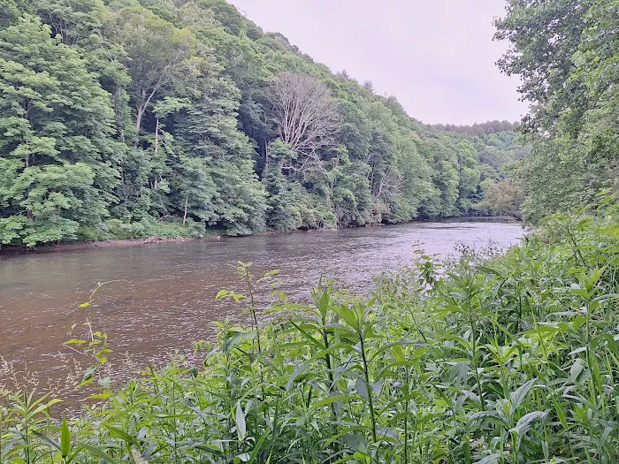 New River State Park - 221 Access (canoe/kayak) 5