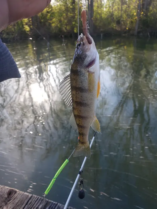 Cold Creek Trout Camp 5