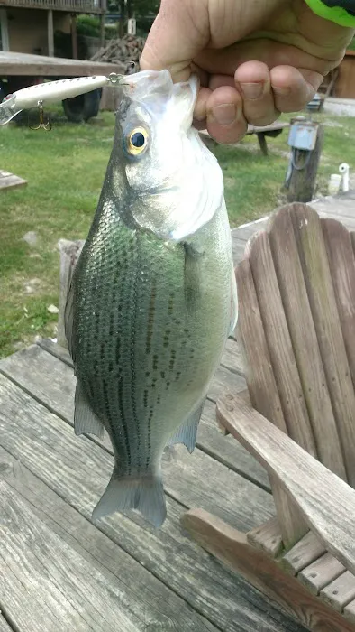 Cold Creek Trout Camp 3