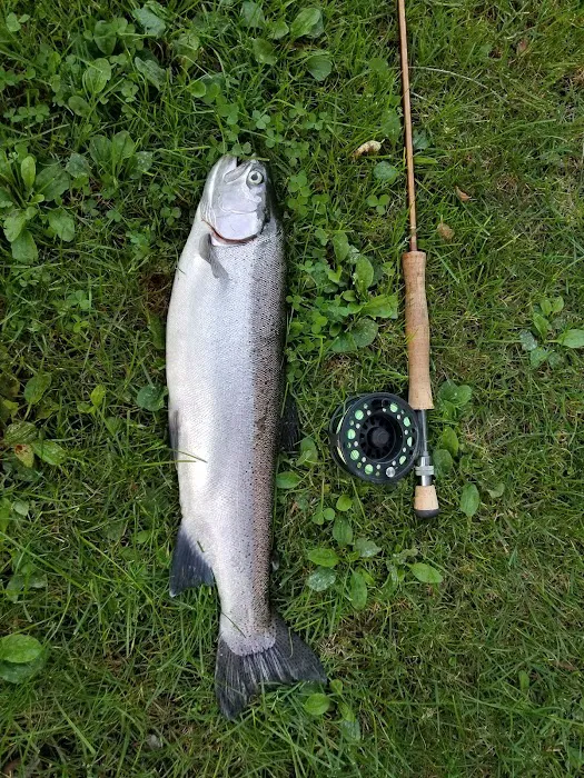Cold Creek Trout Camp 6