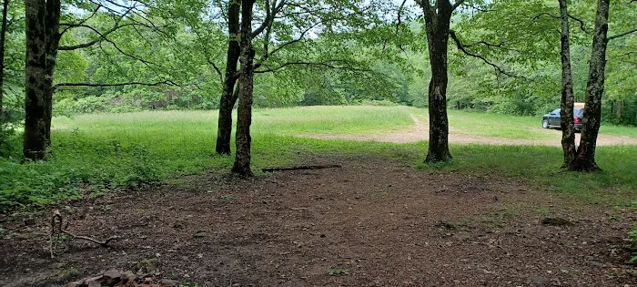 Ball Field Dispersed Camping Area (recgovnpsdata) 1