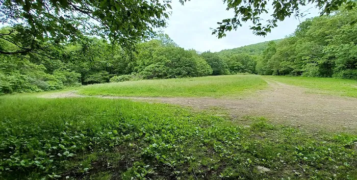 Ball Field Dispersed Camping Area (recgovnpsdata) 5