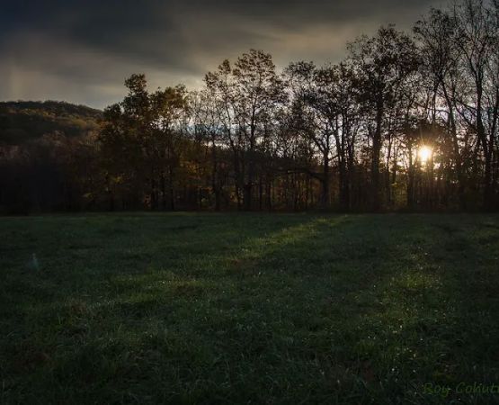 Public Camping Field