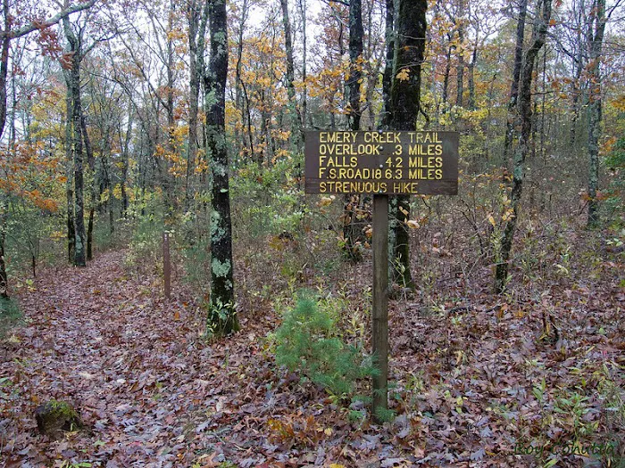 Public Camping Field 4