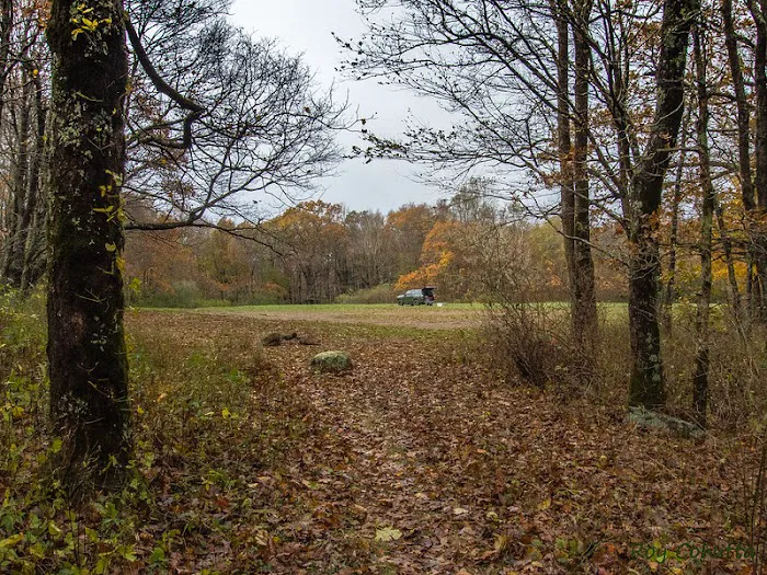 Public Camping Field 3
