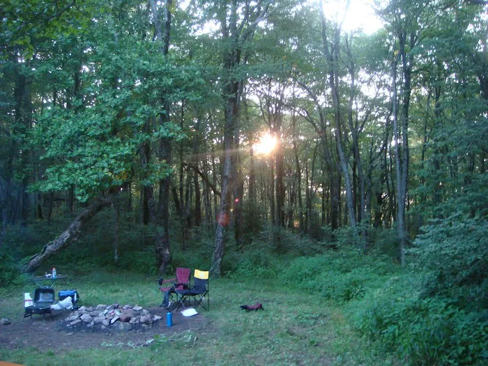 Public Camping Field 6
