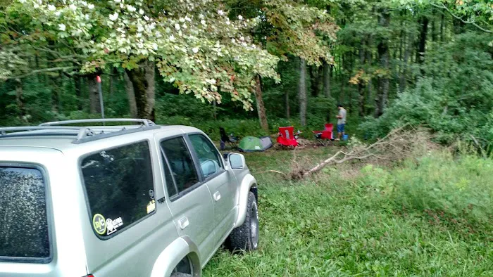 Public Camping Field 9