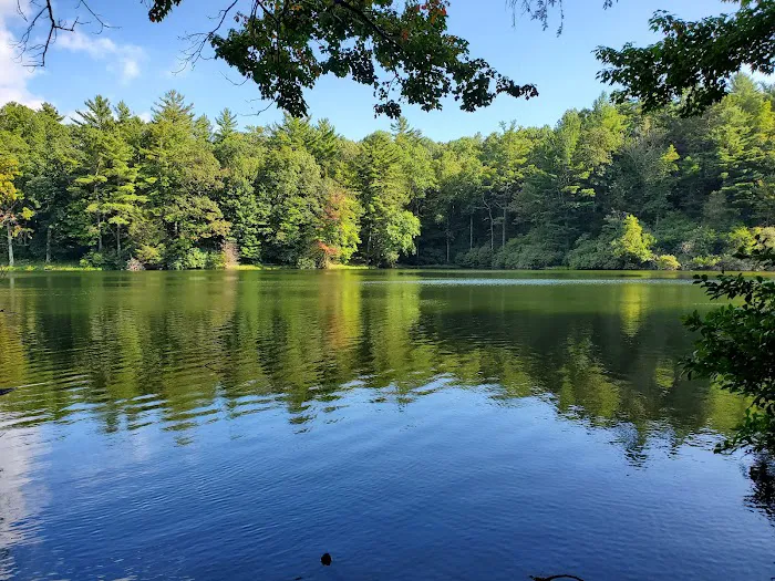 Lake Conasauga Campground 0