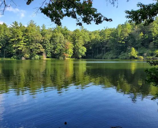Lake Conasauga Campground