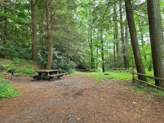 Lake Conasauga Campground 4