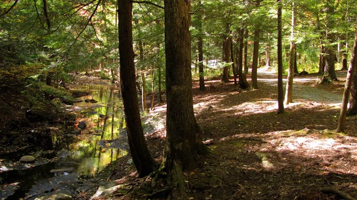 Hickey Gap Campground 0