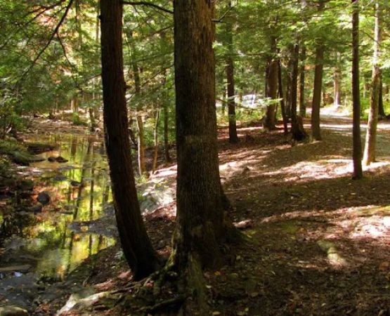 Hickey Gap Campground